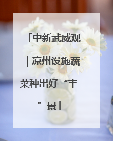中新武威观｜凉州设施蔬菜种出好“丰”景