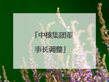 中核集团董事长调整