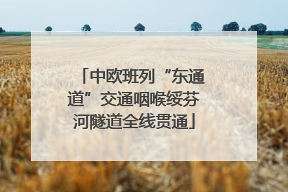 中欧班列“东通道”交通咽喉绥芬河隧道全线贯通