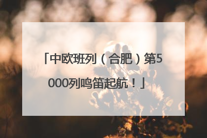 中欧班列（合肥）第5000列鸣笛起航！