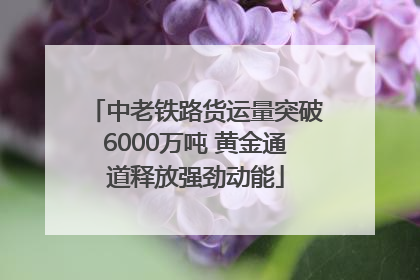 中老铁路货运量突破6000万吨 黄金通道释放强劲动能