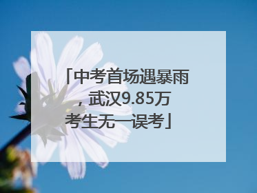 中考首场遇暴雨，武汉9.85万考生无一误考