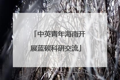 中英青年海南开展蓝碳科研交流