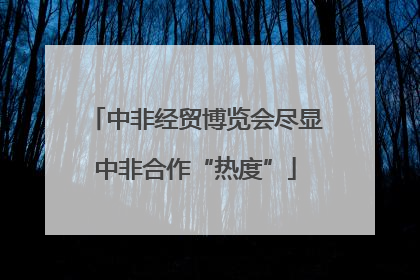 中非经贸博览会尽显中非合作“热度”