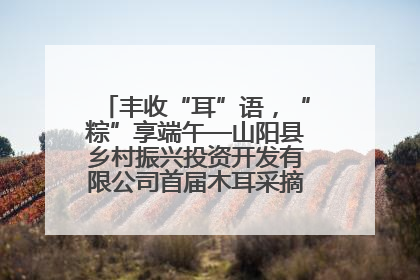 丰收“耳”语，“粽”享端午—山阳县乡村振兴投资开发有限公司首届木耳采摘活动盛大启幕