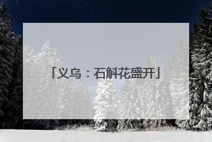 义乌：石斛花盛开