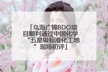 乌海广锦BDO项目顺利通过中国化学“五星级标准化工地”现场初评
