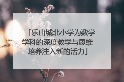 乐山城北小学为数学学科的深度教学与思维培养注入新的活力