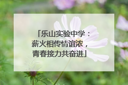 乐山实验中学：薪火相传情谊浓，青春接力共奋进