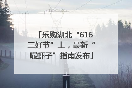 乐购湖北“616三好节”上，最新“嘬虾子”指南发布