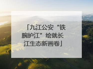 九江公安“铁腕护江”绘就长江生态新画卷