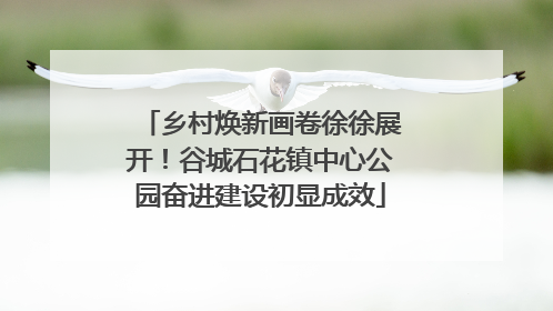 乡村焕新画卷徐徐展开！谷城石花镇中心公园奋进建设初显成效