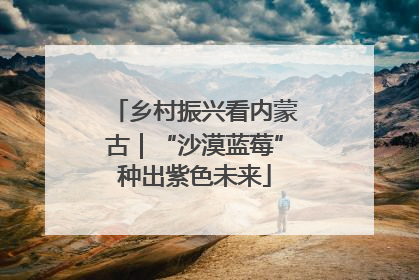 乡村振兴看内蒙古｜“沙漠蓝莓”种出紫色未来