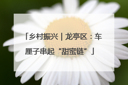 乡村振兴｜龙亭区：车厘子串起“甜蜜链”