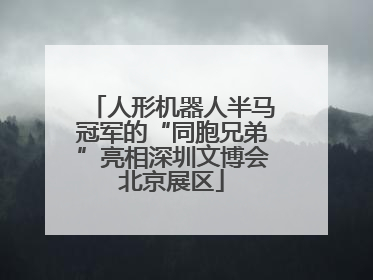 人形机器人半马冠军的“同胞兄弟”亮相深圳文博会北京展区