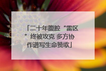 二十年腹腔“雷区”终被攻克 多方协作谱写生命赞歌