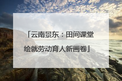 云南景东：田间课堂绘就劳动育人新画卷