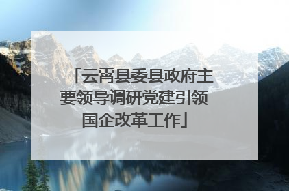 云霄县委县政府主要领导调研党建引领国企改革工作