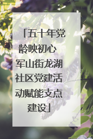 五十年党龄映初心 军山街龙湖社区党建活动赋能支点建设