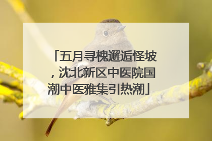 五月寻槐邂逅怪坡，沈北新区中医院国潮中医雅集引热潮