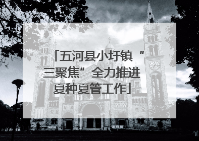 五河县小圩镇“三聚焦”全力推进夏种夏管工作