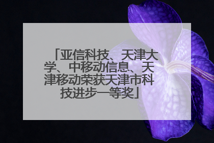 亚信科技、天津大学、中移动信息、天津移动荣获天津市科技进步一等奖