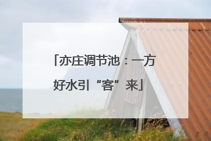 亦庄调节池：一方好水引“客”来