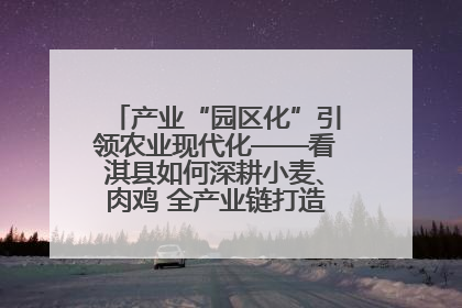 产业“园区化”引领农业现代化——看淇县如何深耕小麦、肉鸡 全产业链打造现代农业产业园