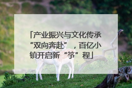 产业振兴与文化传承“双向奔赴”，百亿小镇开启新“筝”程