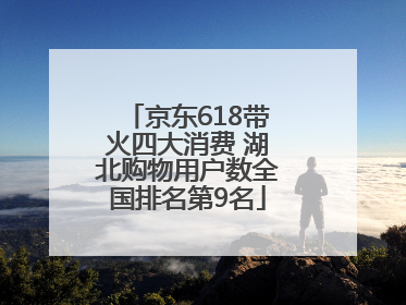 京东618带火四大消费 湖北购物用户数全国排名第9名