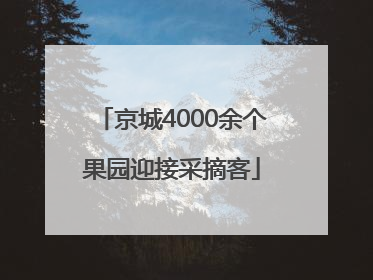 京城4000余个果园迎接采摘客