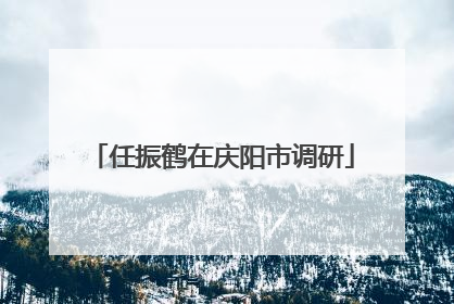 任振鹤在庆阳市调研