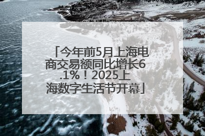 今年前5月上海电商交易额同比增长6.1%！2025上海数字生活节开幕