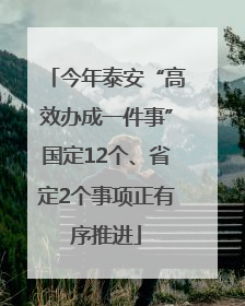 今年泰安“高效办成一件事”国定12个、省定2个事项正有序推进