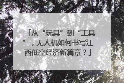 从“玩具”到“工具”，无人机如何书写江西低空经济新篇章？