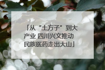 从“土方子”到大产业 四川兴文推动民族医药走出大山