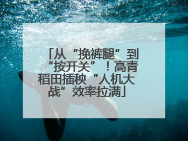 从“挽裤腿”到“按开关”！高青稻田插秧“人机大战”效率拉满
