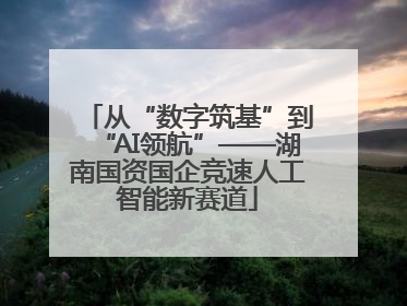 从“数字筑基”到“AI领航”——湖南国资国企竞速人工智能新赛道