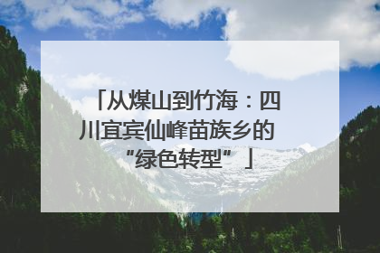 从煤山到竹海：四川宜宾仙峰苗族乡的“绿色转型”