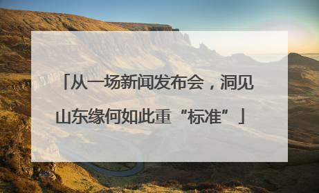 从一场新闻发布会，洞见山东缘何如此重“标准”