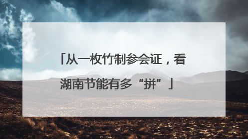 从一枚竹制参会证，看湖南节能有多“拼”