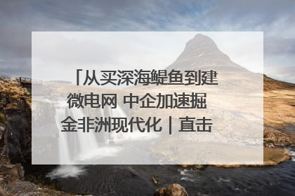 从买深海鳀鱼到建微电网 中企加速掘金非洲现代化｜直击中非经贸博览会