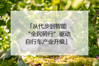 从代步到智能 “全民骑行”驱动自行车产业升级