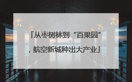 从枣树林到“百果园”，航空新城种出大产业