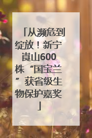 从濒危到绽放！新宁崀山600株“国宝兰”获省级生物保护嘉奖