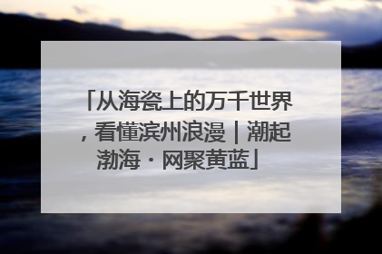 从海瓷上的万千世界，看懂滨州浪漫｜潮起渤海・网聚黄蓝