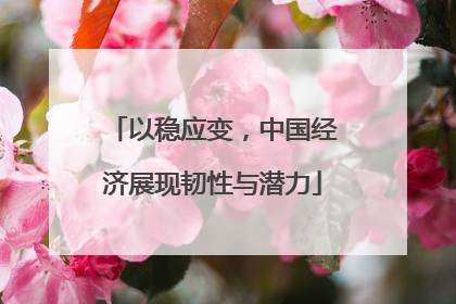 以稳应变,中国经济展现韧性与潜力