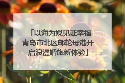 以海为媒见证幸福 青岛市北区邮轮母港开启浪漫婚旅新体验