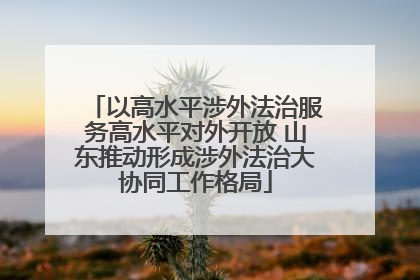 以高水平涉外法治服务高水平对外开放 山东推动形成涉外法治大协同工作格局