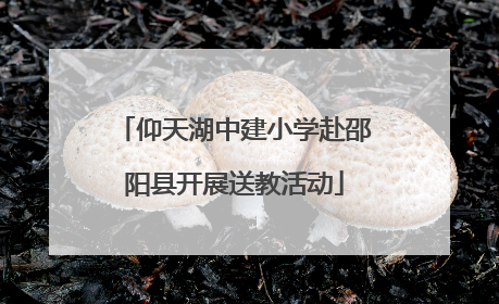 仰天湖中建小学赴邵阳县开展送教活动